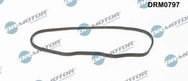 504059849 Iveco 
